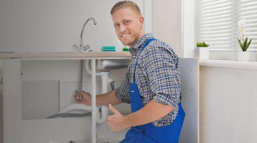 Holiday Plumbing Service in Reese, MI